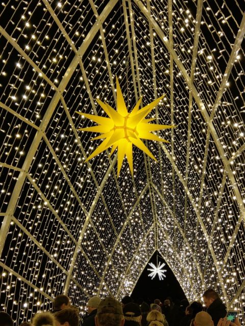 Weihnachtsbild 2020